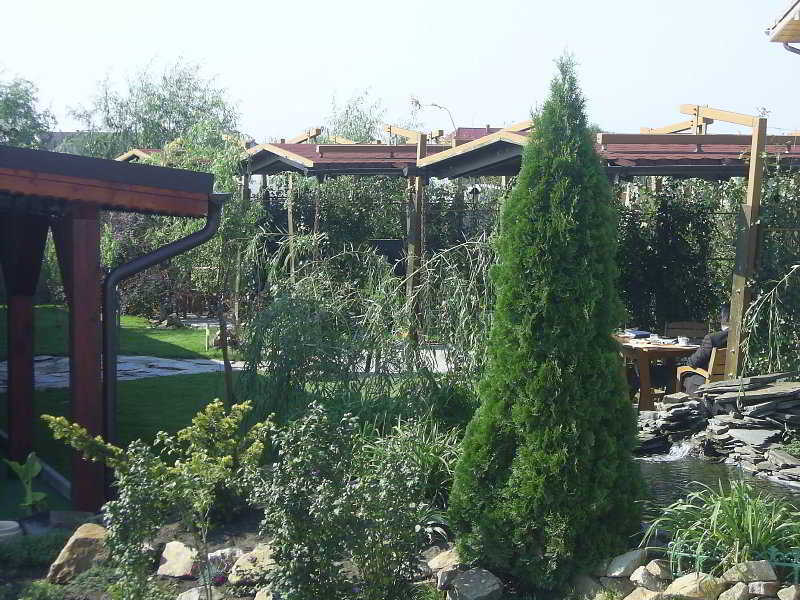 Anette Resort & Spa Covaci Exterior photo